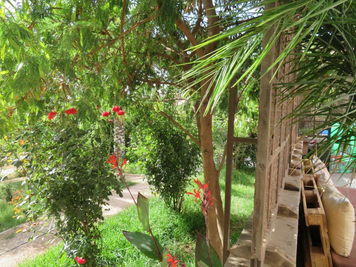 Ibis Tlemcen Hotel Exterior photo